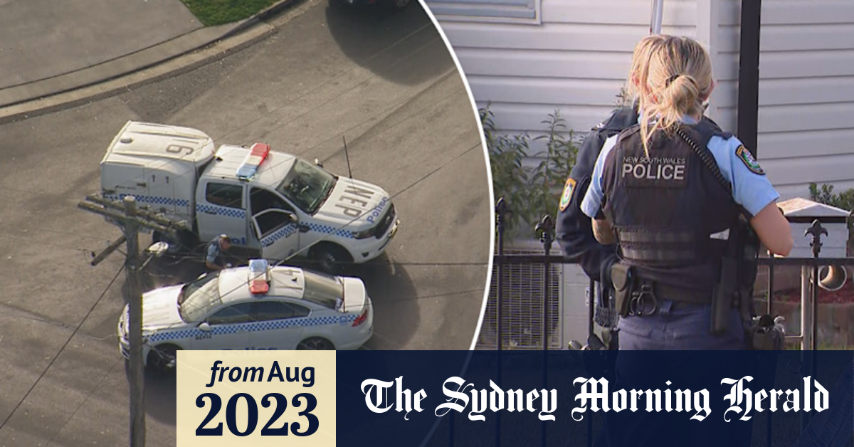 Video Woman dies after stabbing in Sydney home